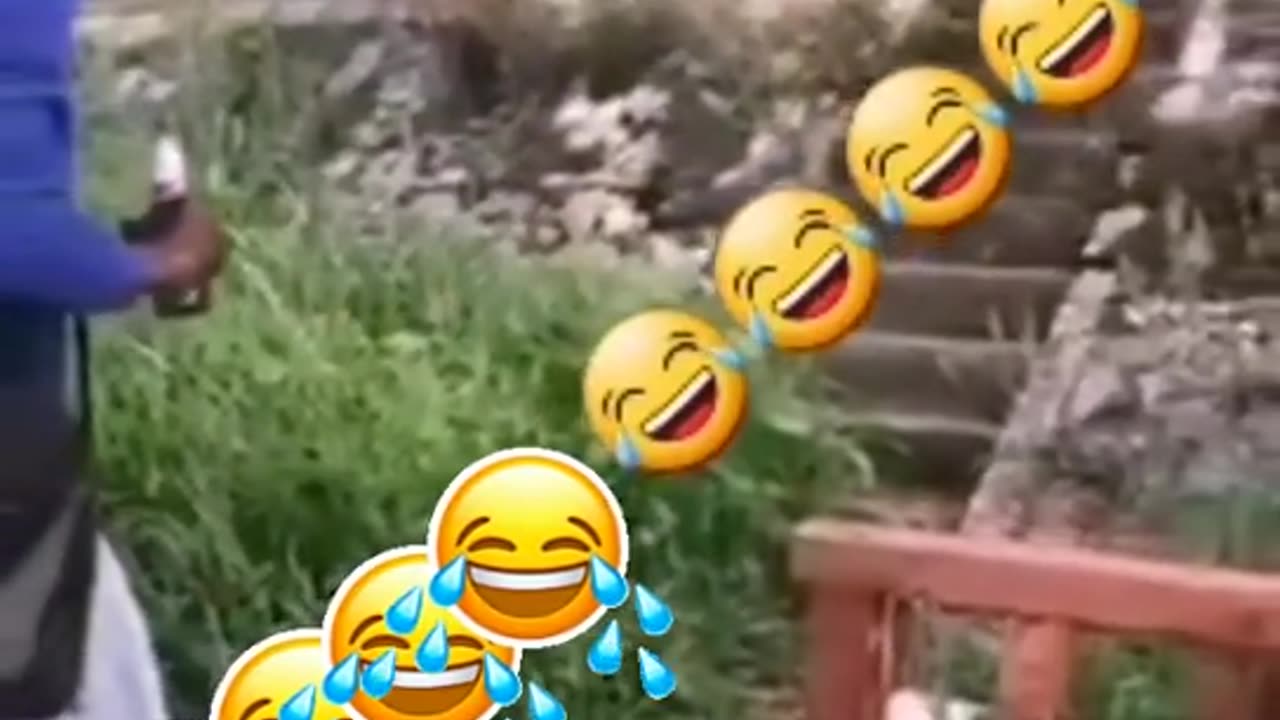 Funny videos