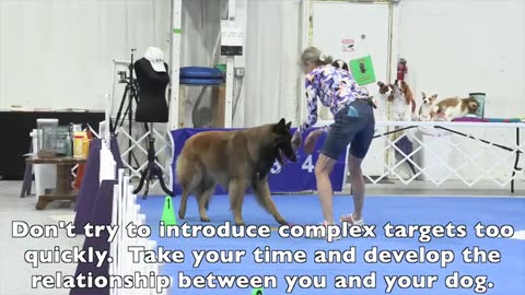 Dog training video