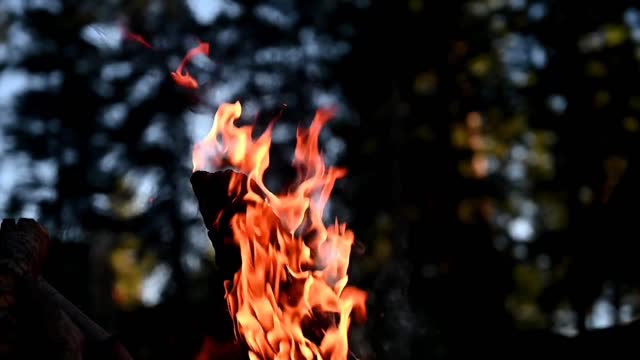 Campfire