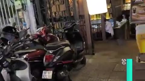 fatty demon pig - 2024 - November 15th part 004