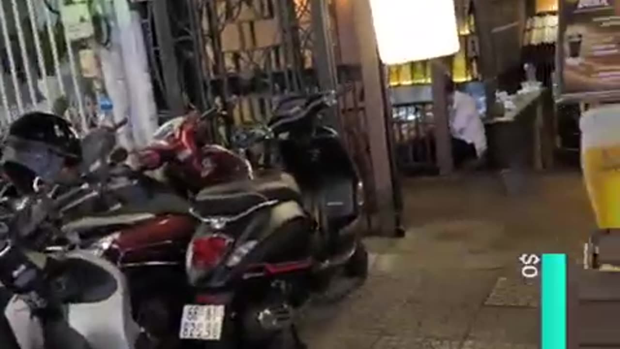 fatty demon pig - 2024 - November 15th part 004