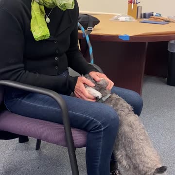 #MurphDocU: #NotreDame #classmate #poet & #performer Marianne helping create #VirtualUniversity