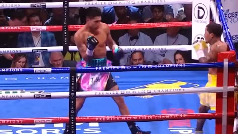 Boxing Fight Hd Showtime | 24 Fighter