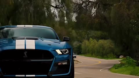 mustang roars