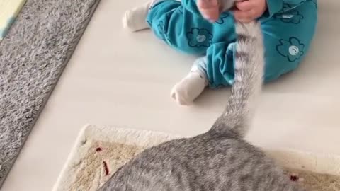 Adorable Baby's Playtime with Furry Feline Friend"