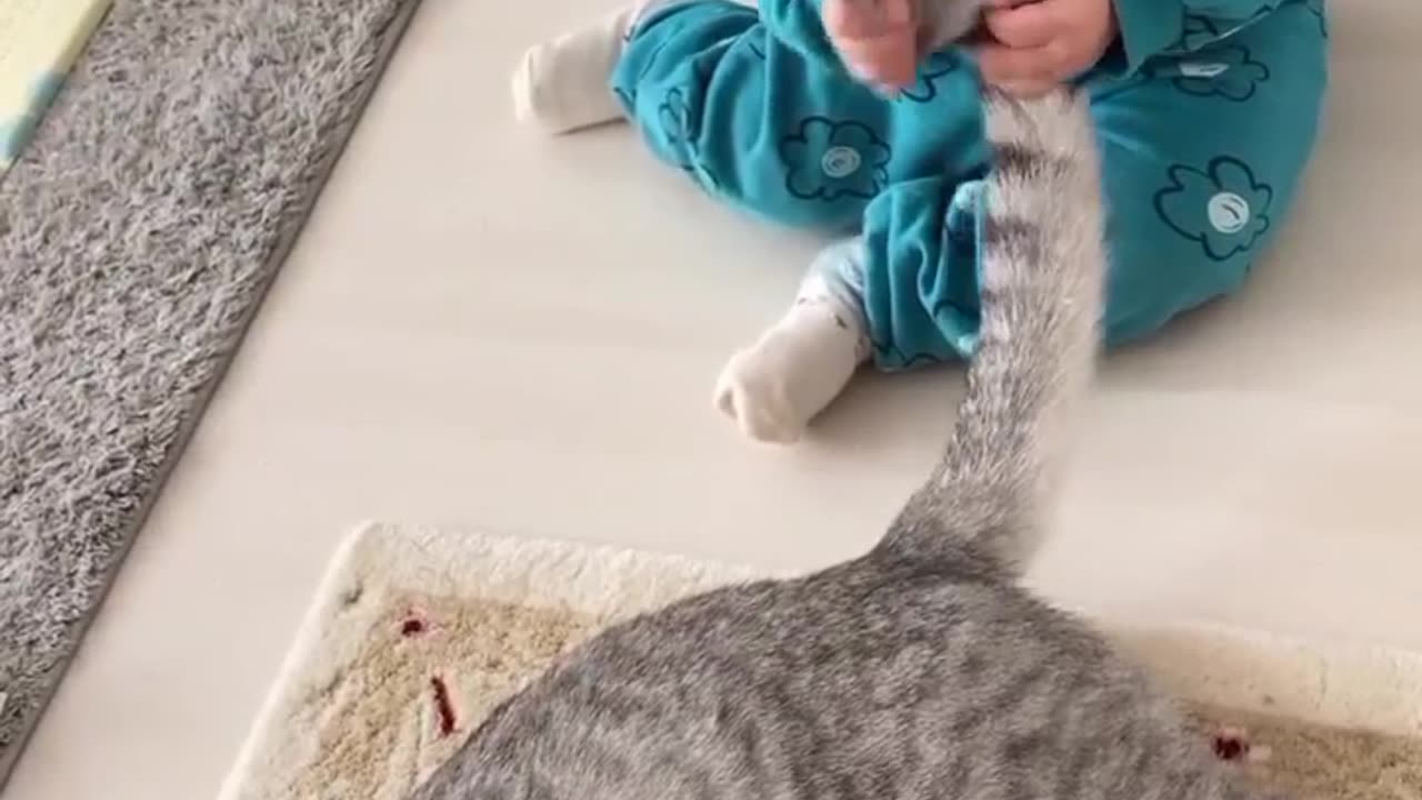 Adorable Baby's Playtime with Furry Feline Friend"