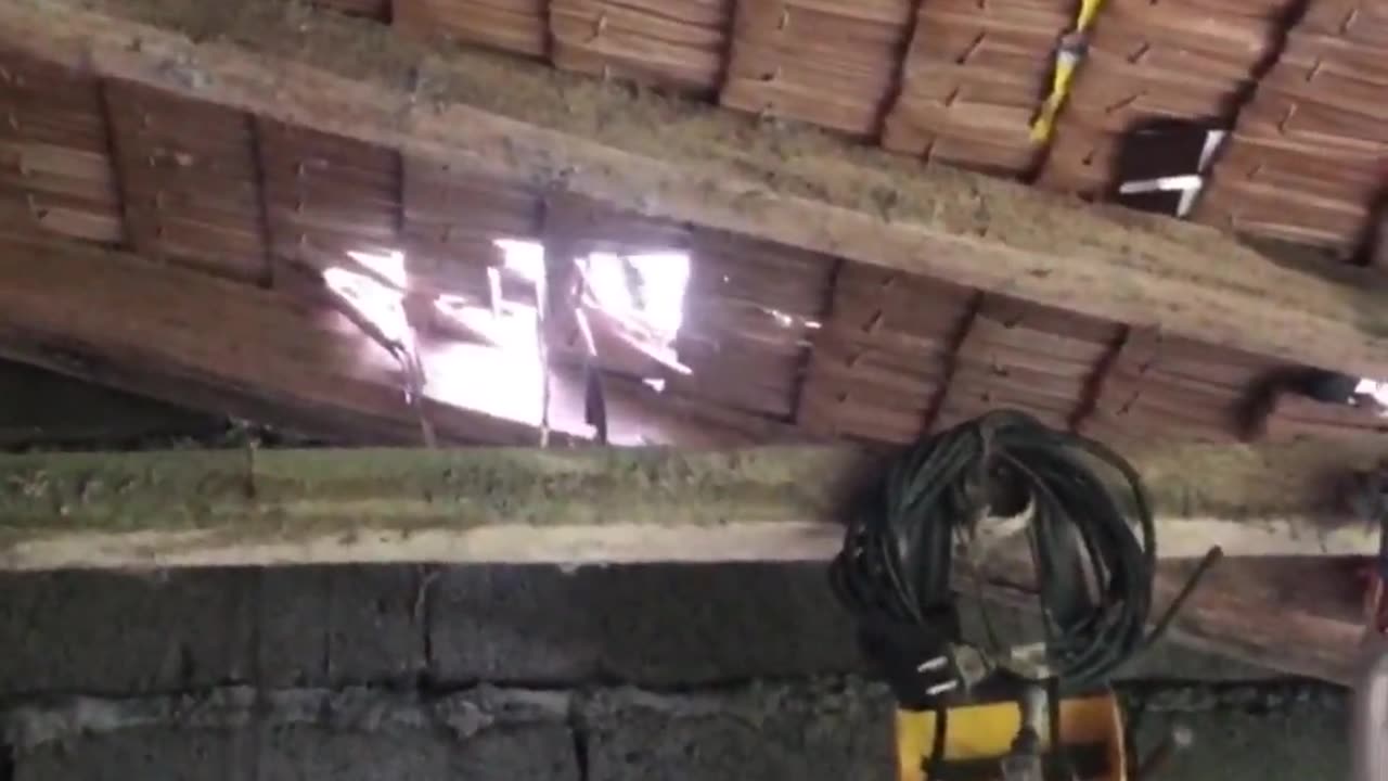 Pepper the Cat Makes a Hole in the Roof ViralHog