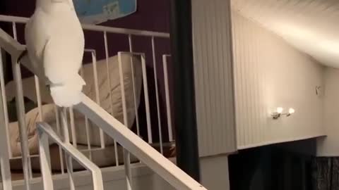 happy and serious