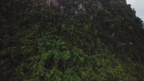 Relaxing Music | Sleeping, Meditation, Stress Relief | [1331] ⭐️