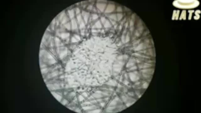 Video Proof Of 'Graphene Oxide' In Face Masks | Covid 19 Masks Contain Graphene Oxide