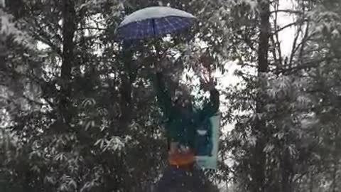Snow fall