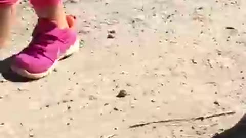 Adorable Baby Rhino Strolls With Little Girl!