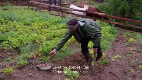 Torpet S01E29