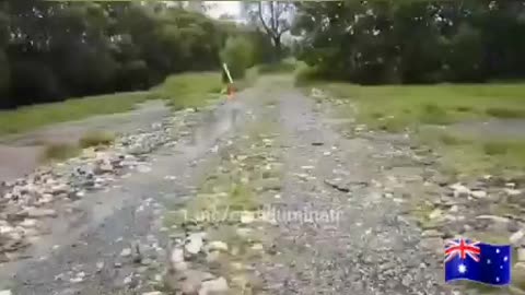 Brisban Quarantine camp