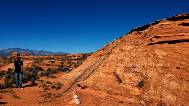 YXZ Climbing Walls