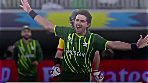 Muhammad wasim jnr great bowling against Zimbabwe
