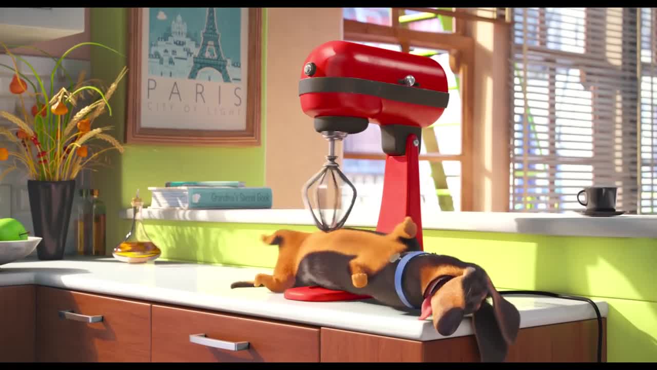 The Secret Life Of Pets _ Official Teaser Trailer _ Illumination