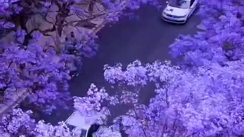 Picturesque scenery