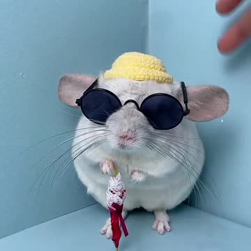 Funny clip red bhai making all glasses and