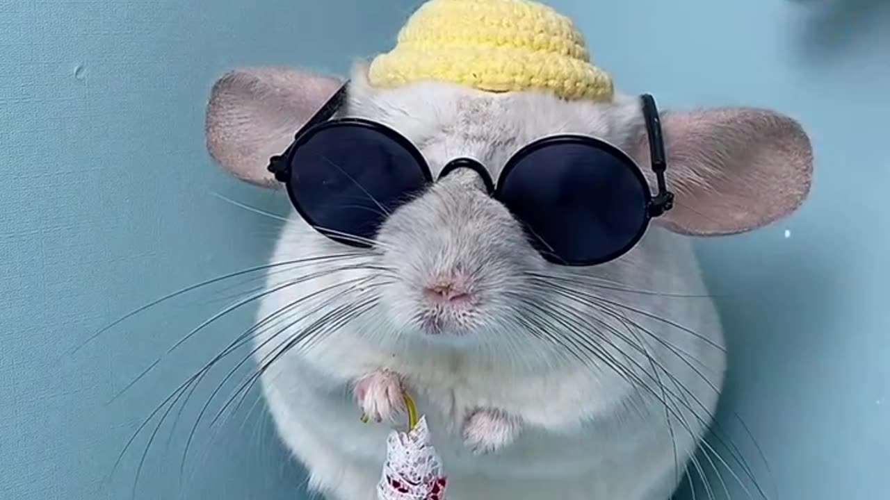Funny clip red bhai making all glasses and