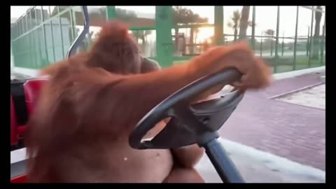 They see me rolling... they hating... - part 2