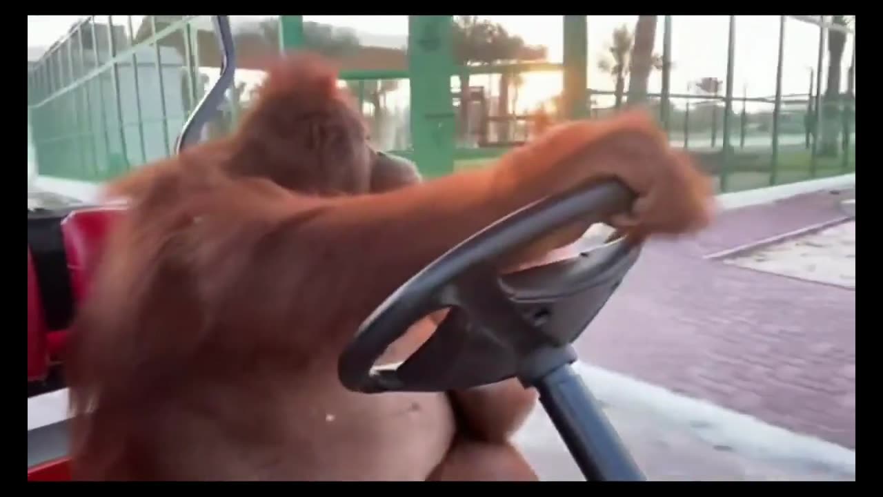 They see me rolling... they hating... - part 2