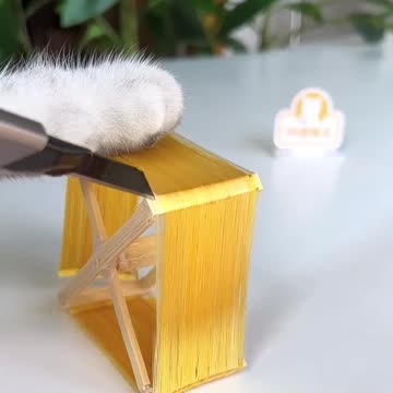 How to create LIPSTICK PAPER WITH COCOONS