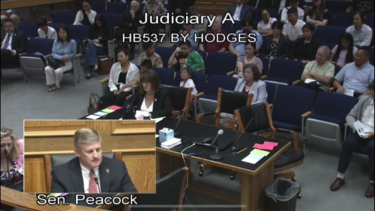 Louisiana HB 537 Senate Judiciary A Committee Sen. Peacock not object