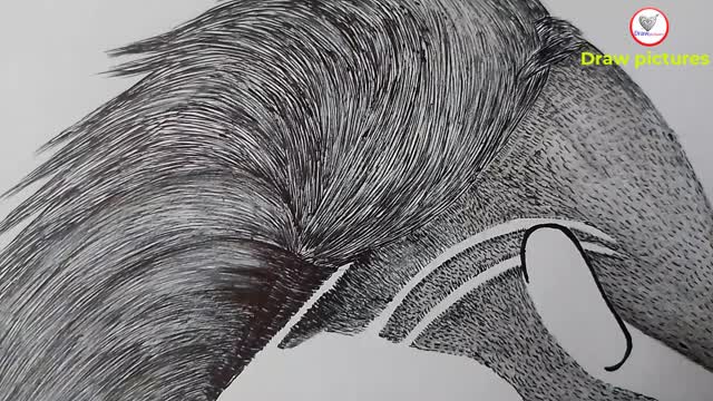 Sketch pictures with pencil very easily 2