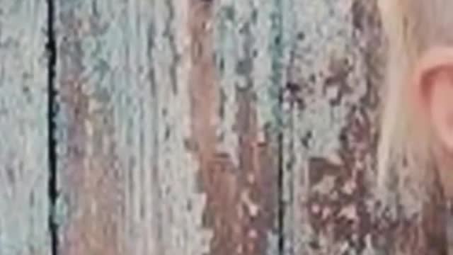 Ukrainian medic captured footage of early days of war in Mariupol