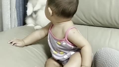 baby cute video