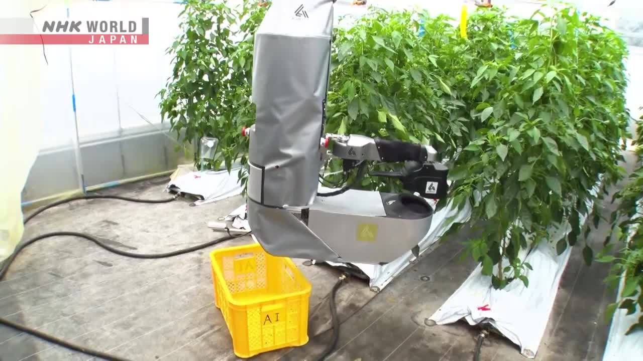 A NEW AGRICULTURE: Robot Farmer - Dig More Japan