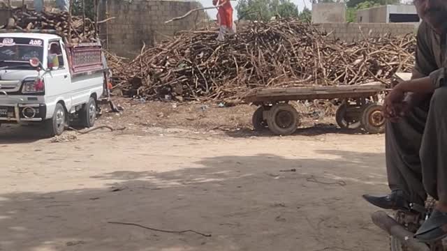 Wood for burning