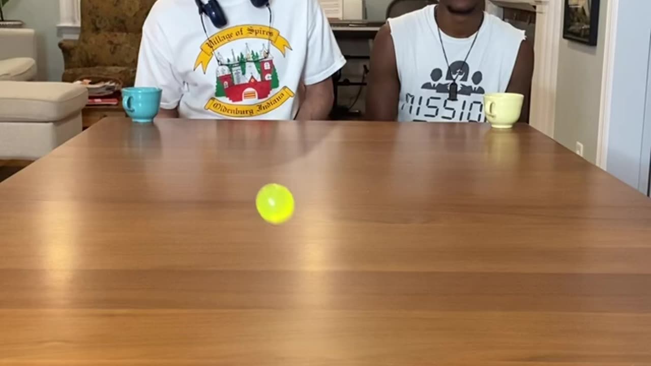 The Bouncy Ball Trickshot (satisfying)