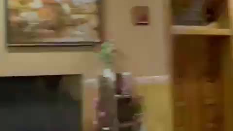 Live Accident On video