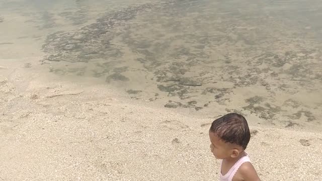 Children Playing On The Beach