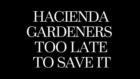 Hacienda Gardeners - too late to save it (FULL ALBUM)