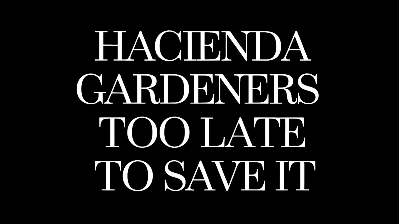 Hacienda Gardeners - too late to save it (FULL ALBUM)