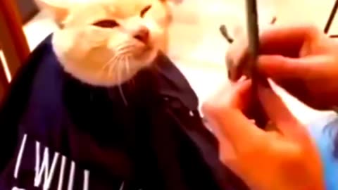 Funny videos part 9