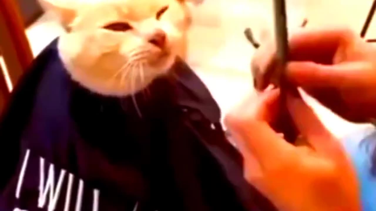 Funny videos part 9