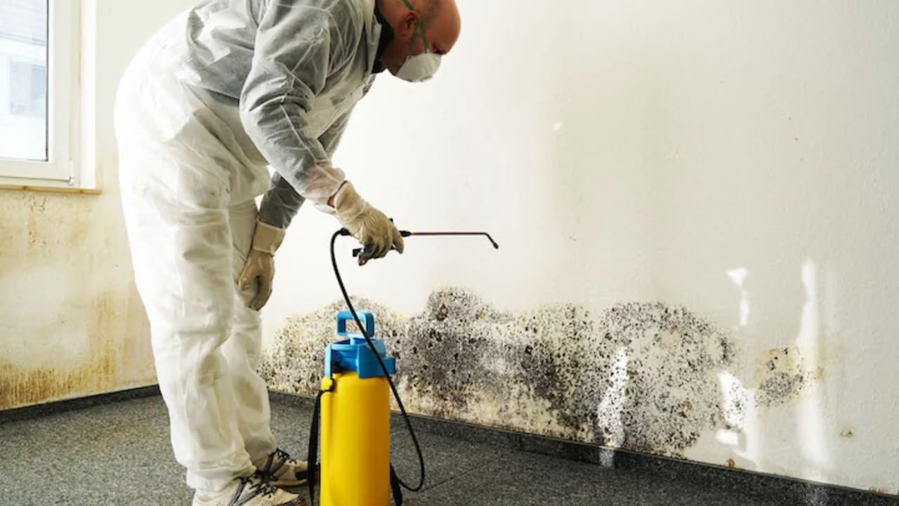 Air Clean Environmental Inc | Lead Removal in Los Angeles, CA