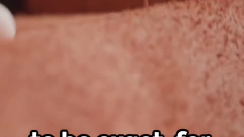Did You Know This?
