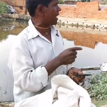 Best Funny Animal Videos Of The 2022 🤣 - Funny Wild And Farm