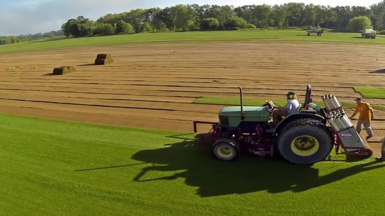 A season of turfgrass sod from planting to harvesting