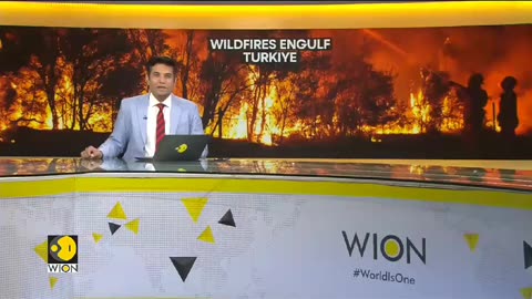 Wildfire engulfs large swathes of Turkiye & Albania WION Climate Tracker