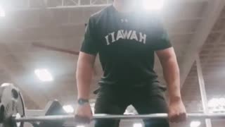 Back and Bicep Workout