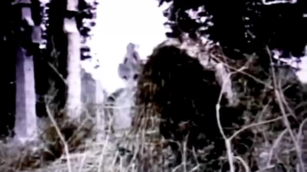 "Ghosts & Demons of Ireland" ● RARE 1970s RTE Documentary! COMPLETE!!!