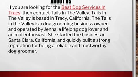 The Best Dog Services in Tracy,