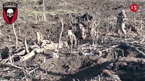 Surviving in the trench, Russians abandoned their weapons and surrendered to Ukrainian fighters