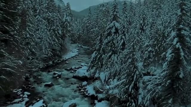POV: You're hiking in BC in winter and enter a complete different planet